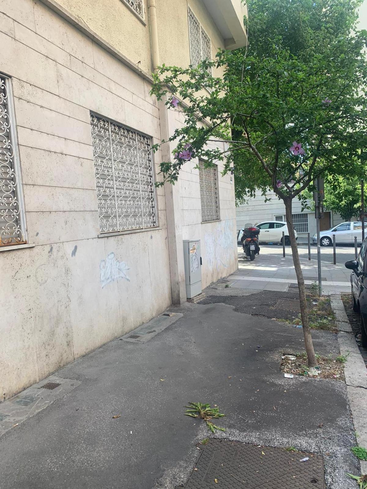 Roma Piazza Bologna - Intero Appartamento Esterno foto